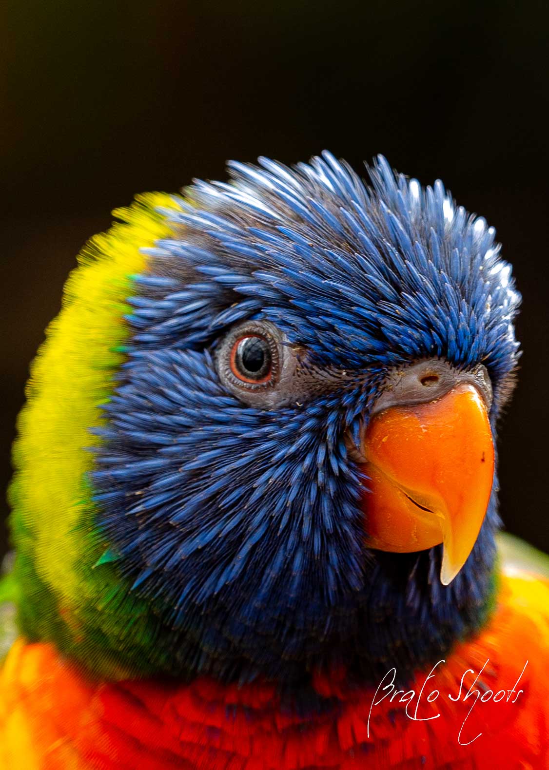 Natuur