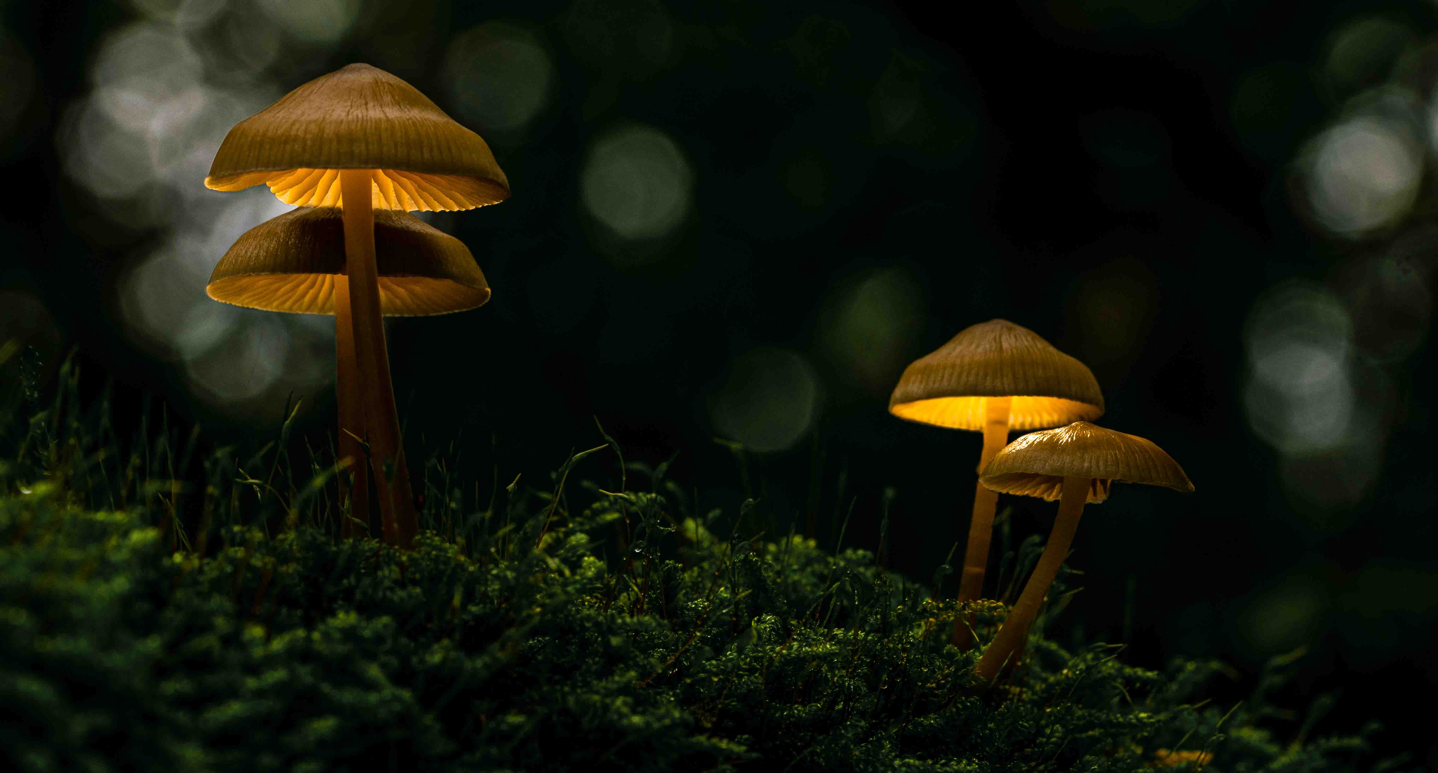 Natuur